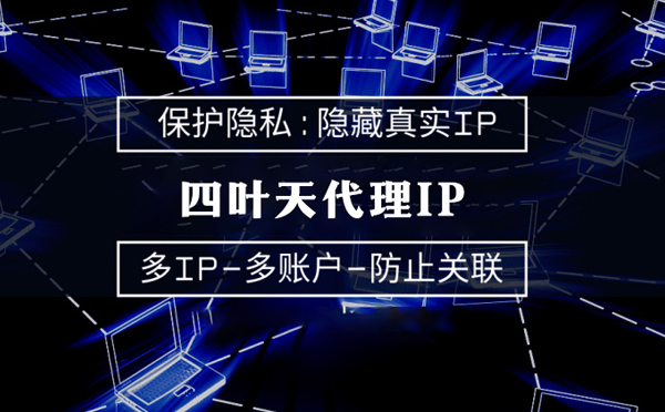 【茂名代理IP】服务器代理ip如何选择？如何挑选服务器代理商